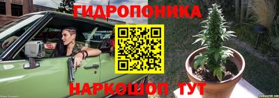 стафф Волгодонск