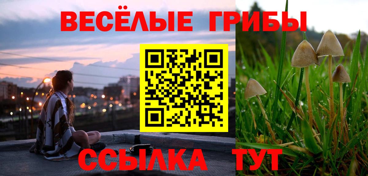 Галлюциногенные грибы MAGIC MUSHROOMS  Галлюциногенные грибы мицелий  Вход с VPN  Кирово-Чепецк 