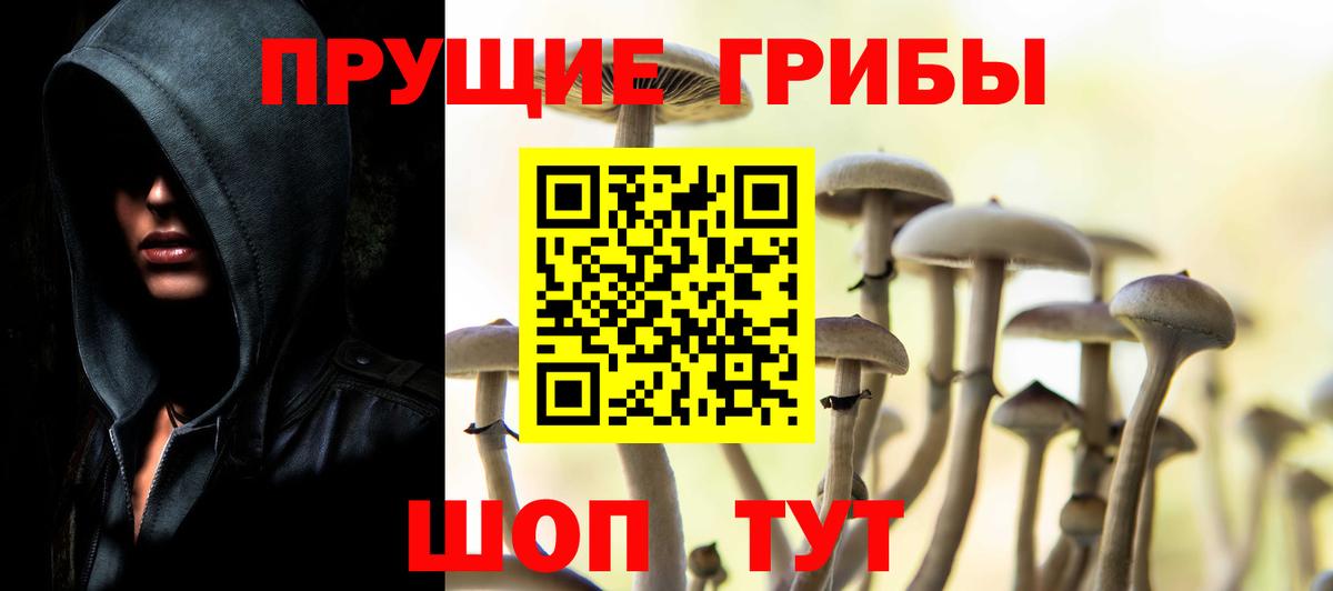 Псилоцибиновые грибы Cubensis Кирово-Чепецк
